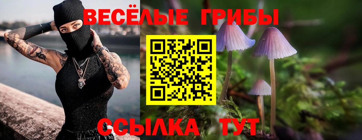 Галлюциногенные грибы мухоморы Саратов